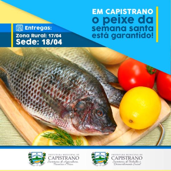 Prefeitura de Peixe